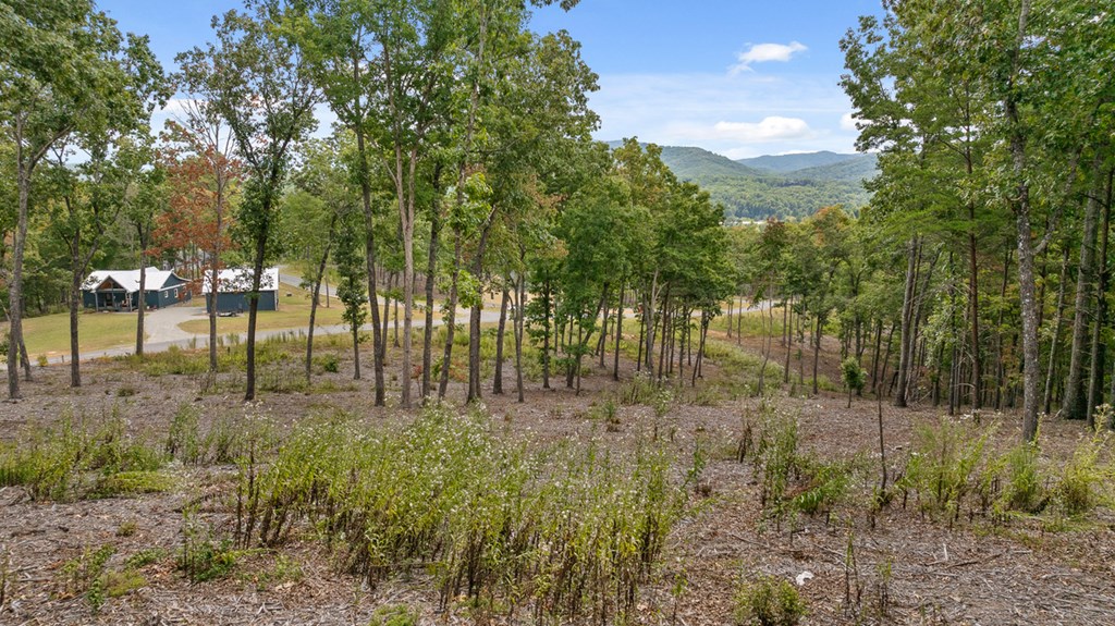 Lot 88 Split Creek Road Morganton, GA 30560 - Photo 16 of 35