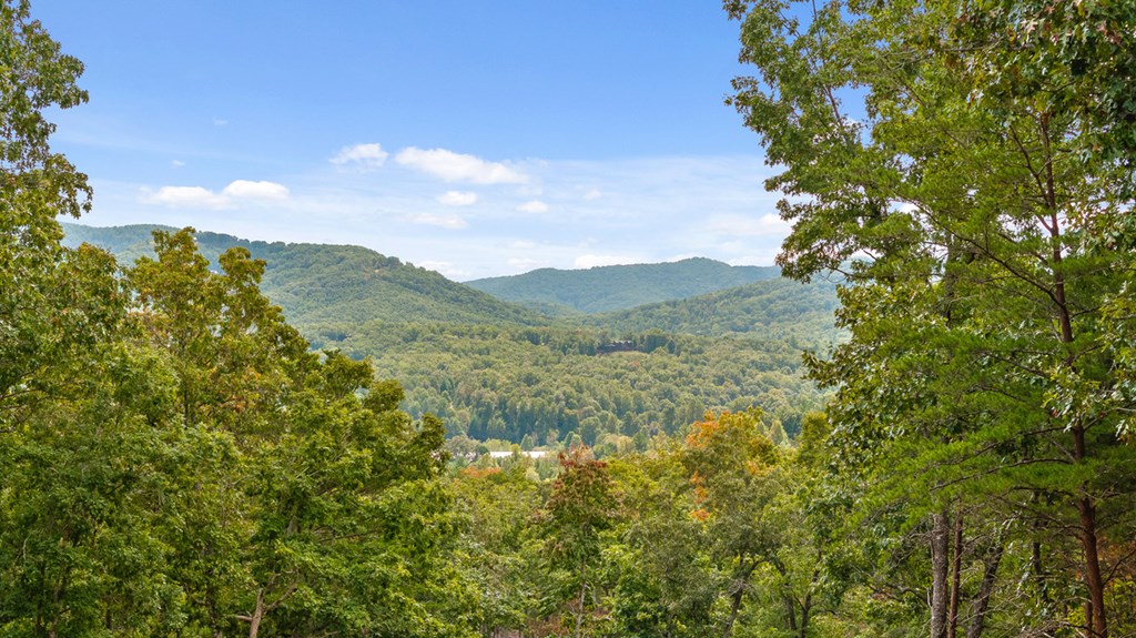 Lot 88 Split Creek Road Morganton, GA 30560 - Photo 17 of 35