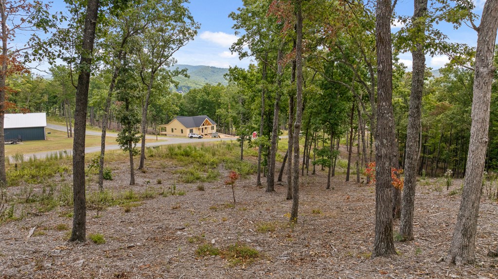 Lot 88 Split Creek Road Morganton, GA 30560 - Photo 18 of 35