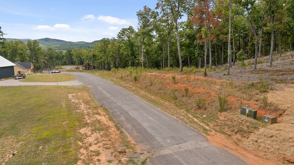 Lot 88 Split Creek Road Morganton, GA 30560 - Photo 21 of 35