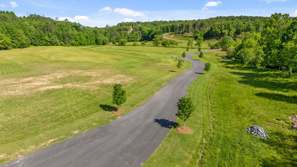 Lot 88 Split Creek Road Morganton, GA 30560 - Photo 28 of 35