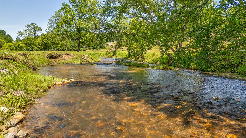 Lot 88 Split Creek Road Morganton, GA 30560 - Photo 33 of 35