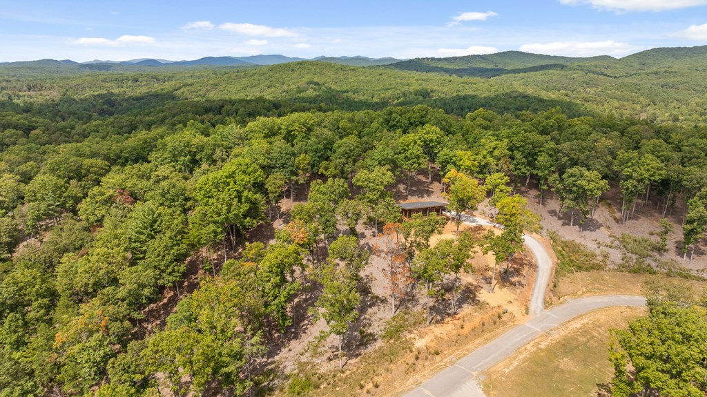 Lot 88 Split Creek Road Morganton, GA 30560 - Photo 4 of 35