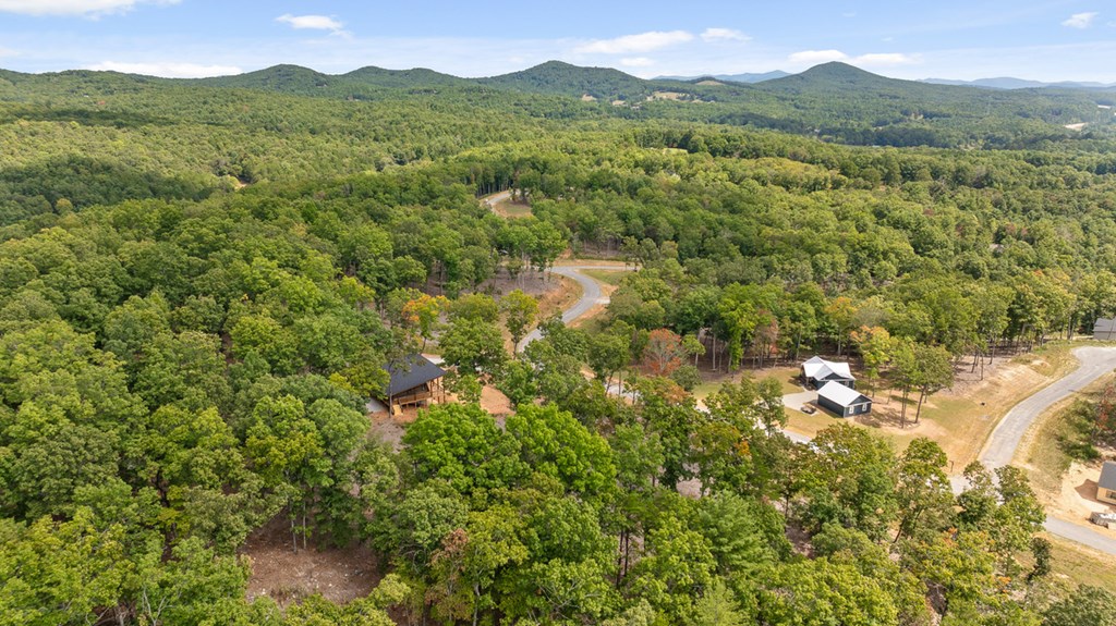 Lot 88 Split Creek Road Morganton, GA 30560 - Photo 6 of 35