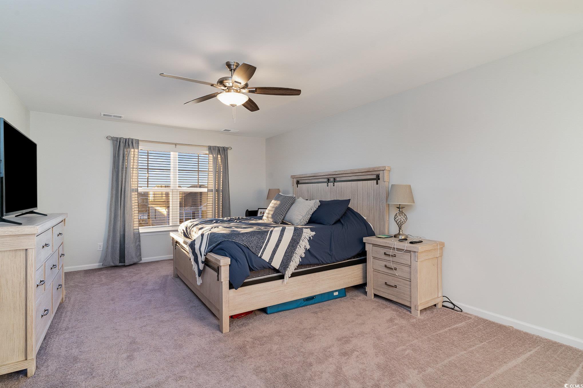 10030 Hamilton Branch Loop Myrtle Beach, SC 29579 - Photo 21 of 40