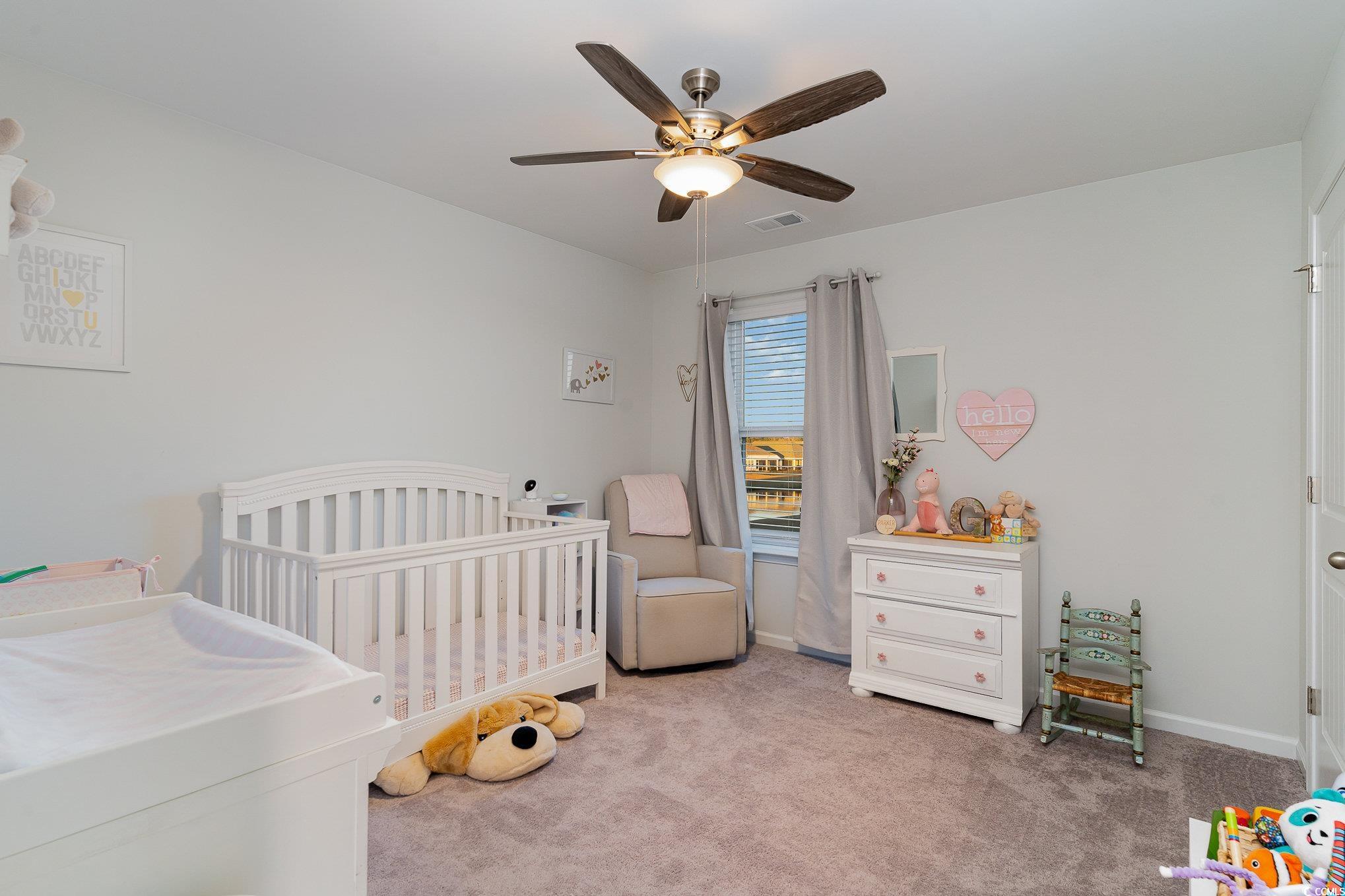 10030 Hamilton Branch Loop Myrtle Beach, SC 29579 - Photo 26 of 40