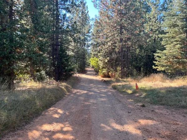 a view of dirt yard with a trees