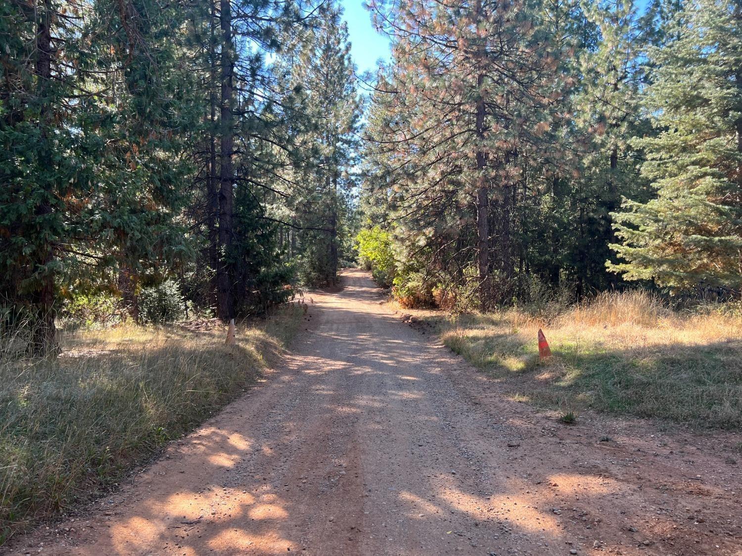 17506 Lowell Hill Road Grass Valley, CA 95945 - Photo 2 of 11 a view of dirt yard with a trees