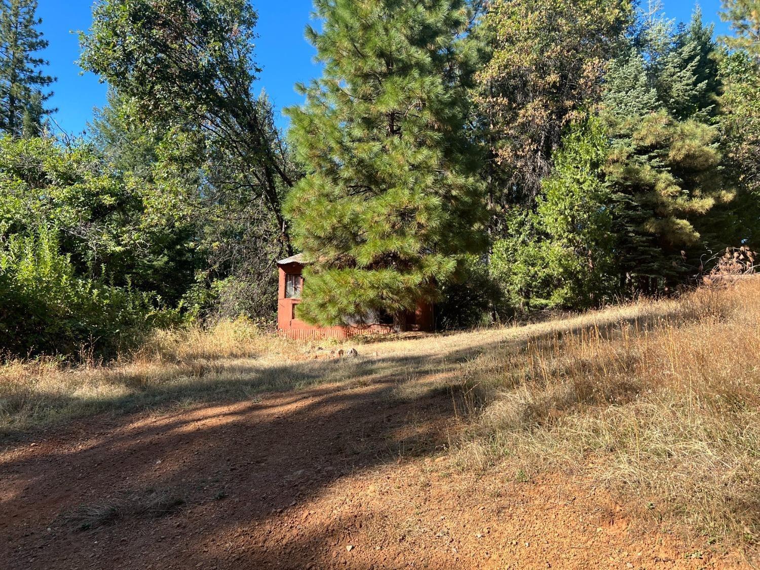 17506 Lowell Hill Road Grass Valley, CA 95945 - Photo 10 of 11 a view of a road with a trees