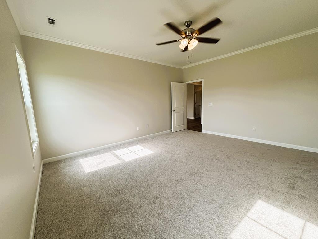 270 Adkinson Road Newton, AL 36352 - Photo 40 of 59 Gallery Image 40