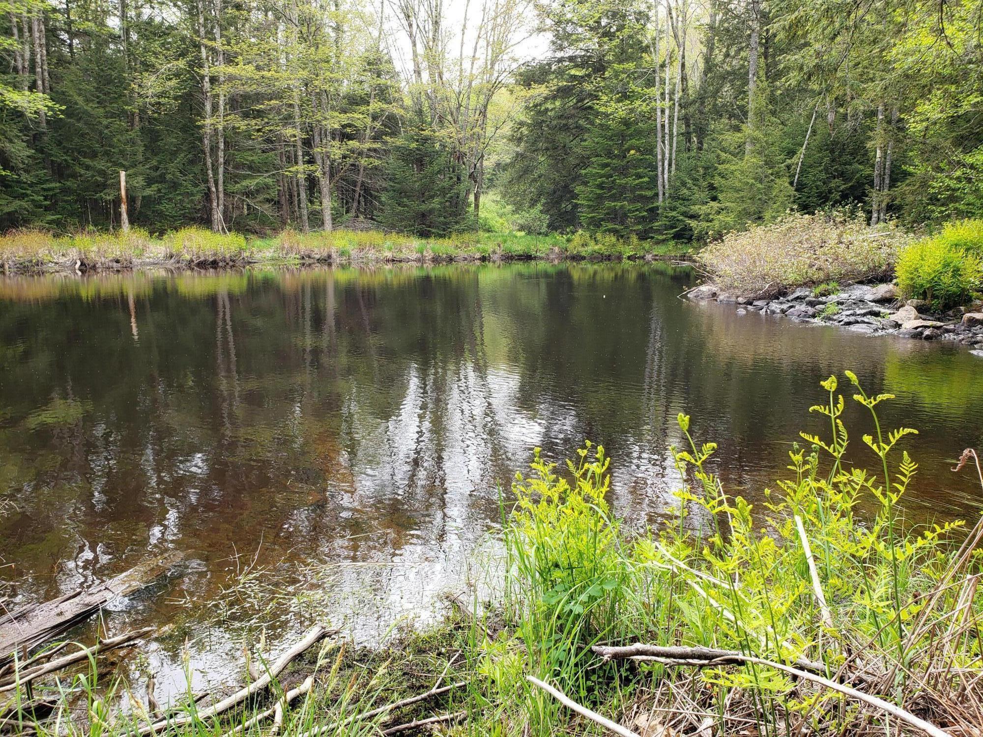 300 Valley Road Jefferson, ME 04348 - Photo 25 of 66 20220521_143339