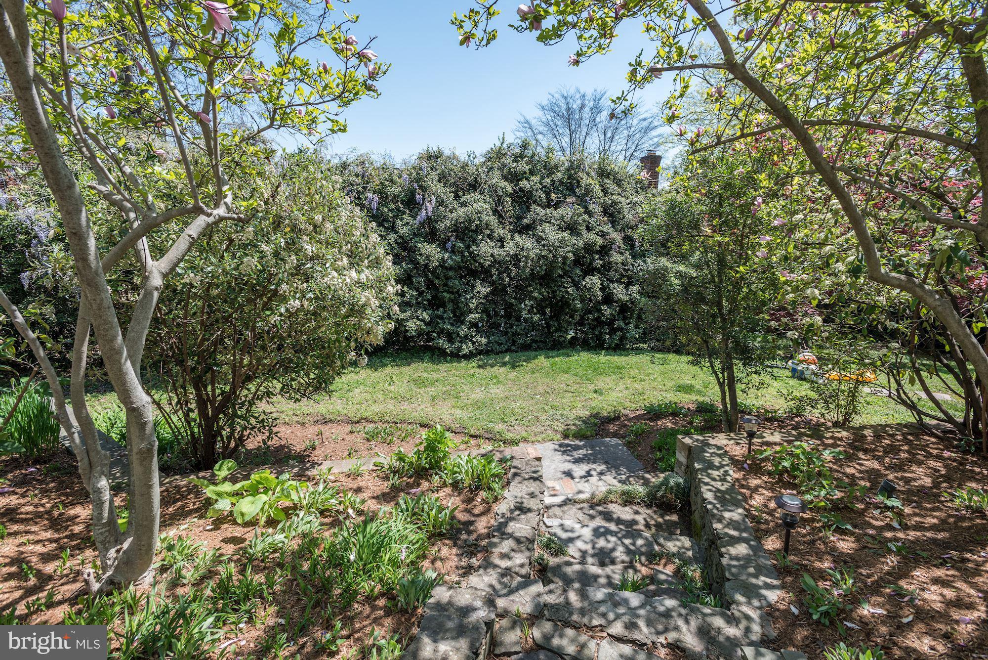 1507 Stonewall Road Alexandria, VA 22301 - Photo 27 of 29 Gorgeous perennial gardens to community alley.