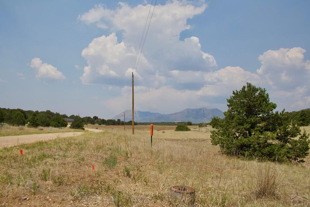 Unit #4 Unit Road Walsenburg, CO 81089 - Photo 3 of 36