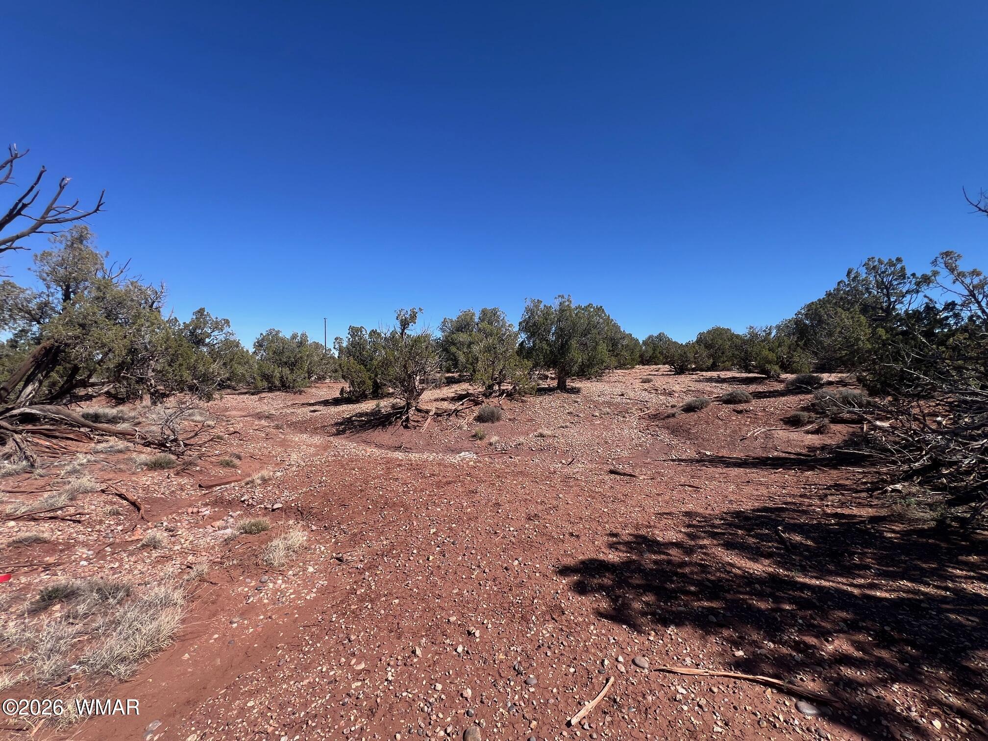 4252 Colt Road Snowflake, AZ 85937 - Photo 11 of 28