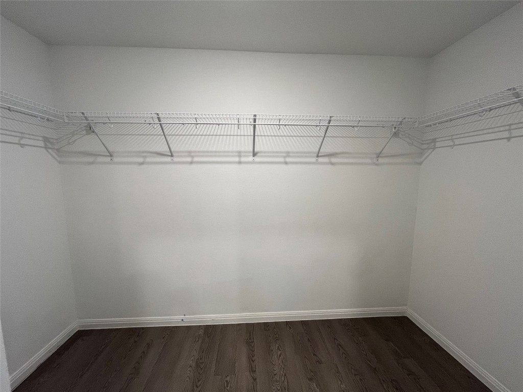 14141 Prospector Way Elgin, TX 78621 - Photo 10 of 16 Primary closet