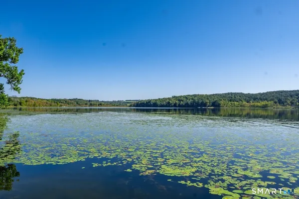 a view of a lake from a yard