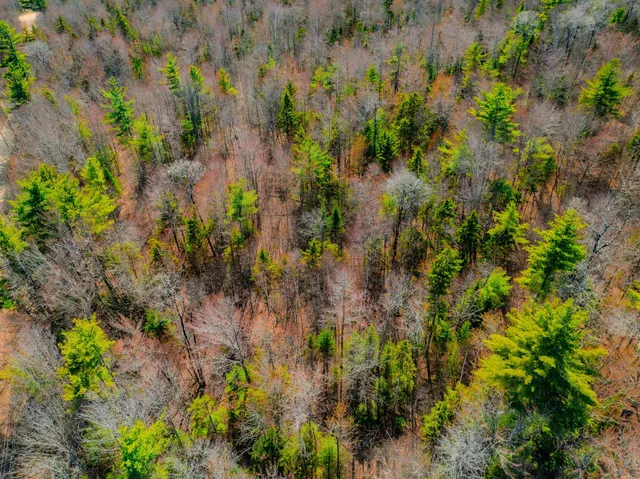 $247,000 | Stinson Lake Road, Campton, NH 03223