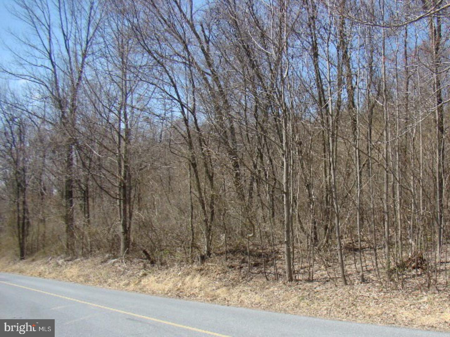 1 Swopes Valley Road Pine Grove, PA 17963 - Photo 1 of 2 Gallery Image 1