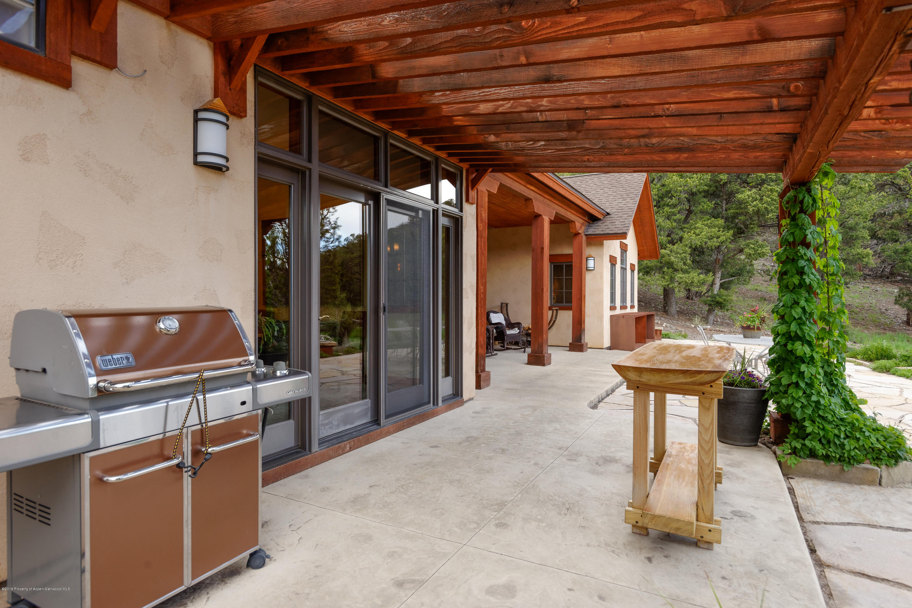 382 Sage Swale Road Carbondale, CO 81623 - Photo 12 of 31 Outdoor Living