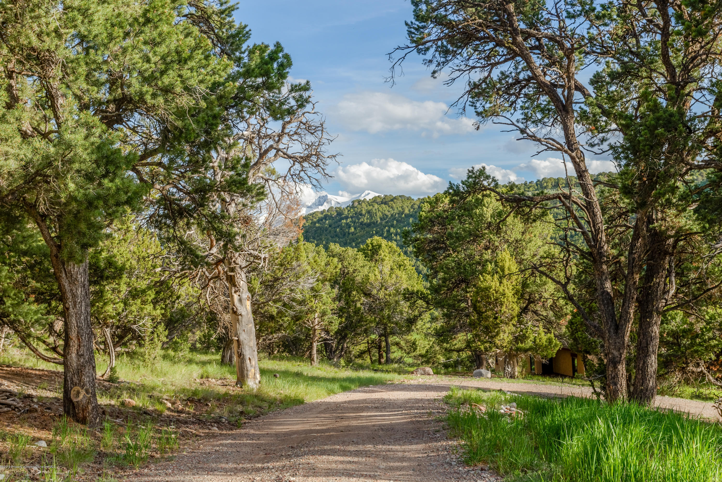 382 Sage Swale Road Carbondale, CO 81623 - Photo 28 of 31 View