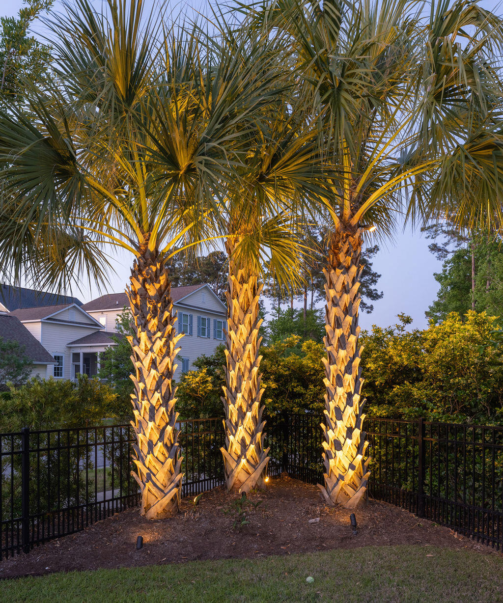 1526 Old Rivers Gate Road Mount Pleasant, SC 29466 - Photo 59 of 76 413A3511-HDR