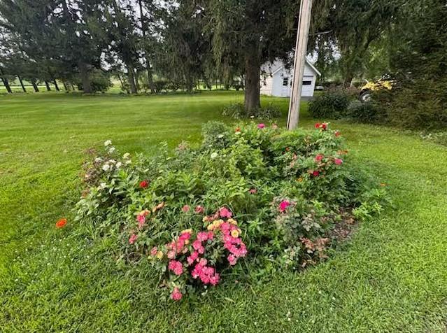 34693 145th Street Waseca, MN 56093 - Photo 41 of 43