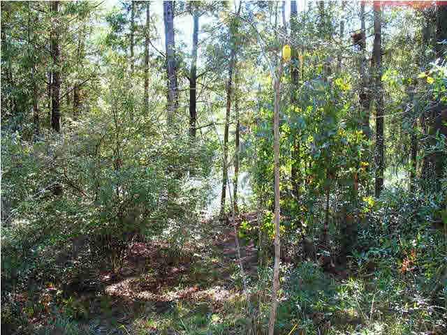 5047 East Lake Road Milton, FL 32583 - Photo 21 of 25 Gallery Image 21