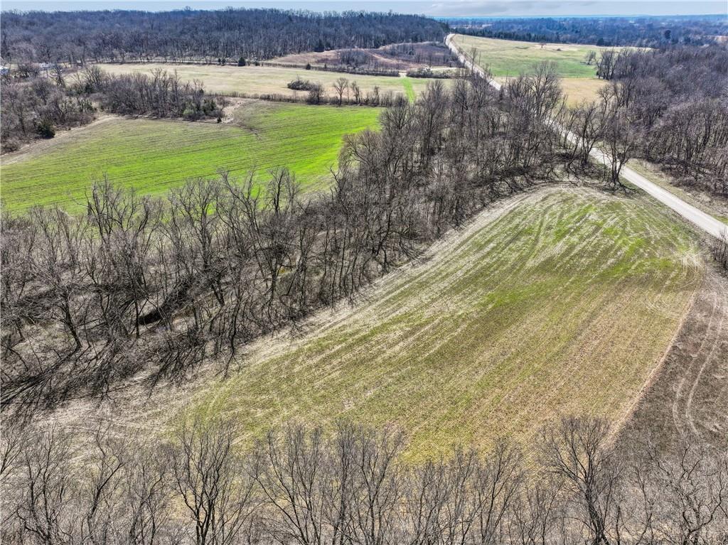 0 East Tract 1 331st Street Archie, MO 64725 - Photo 12 of 26
