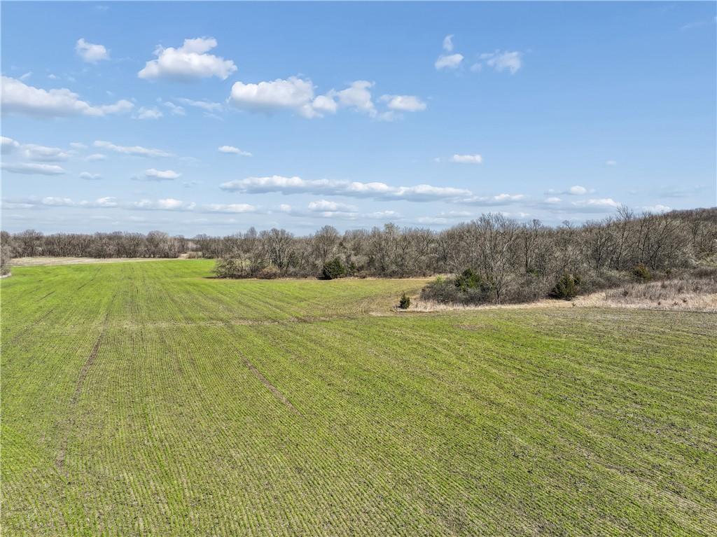 0 East Tract 1 331st Street Archie, MO 64725 - Photo 22 of 26