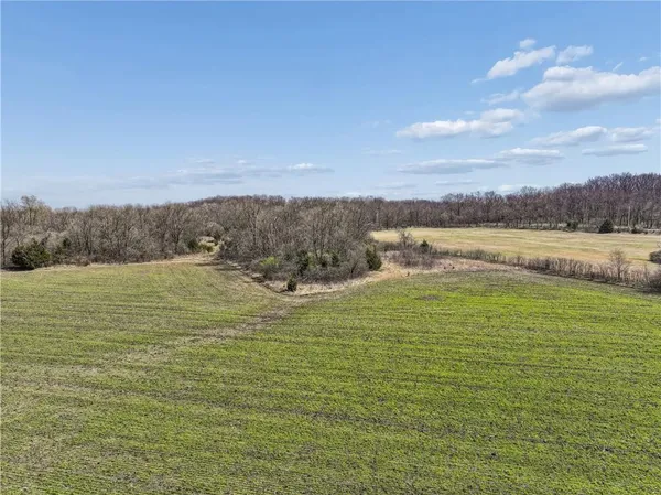 $370,000 | 0 East Tract 1 331st Street, Archie, MO 64725