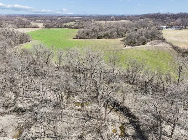 $370,000 | 0 East Tract 1 331st Street, Archie, MO 64725