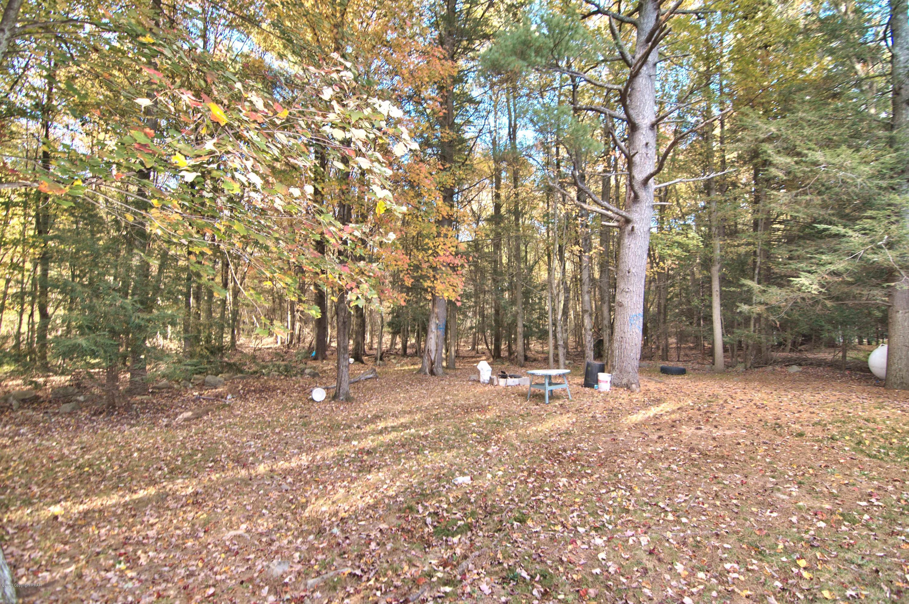 3167 Wilderness Road Pocono Summit, PA 18346 - Photo 2 of 53 Photo- (52)
