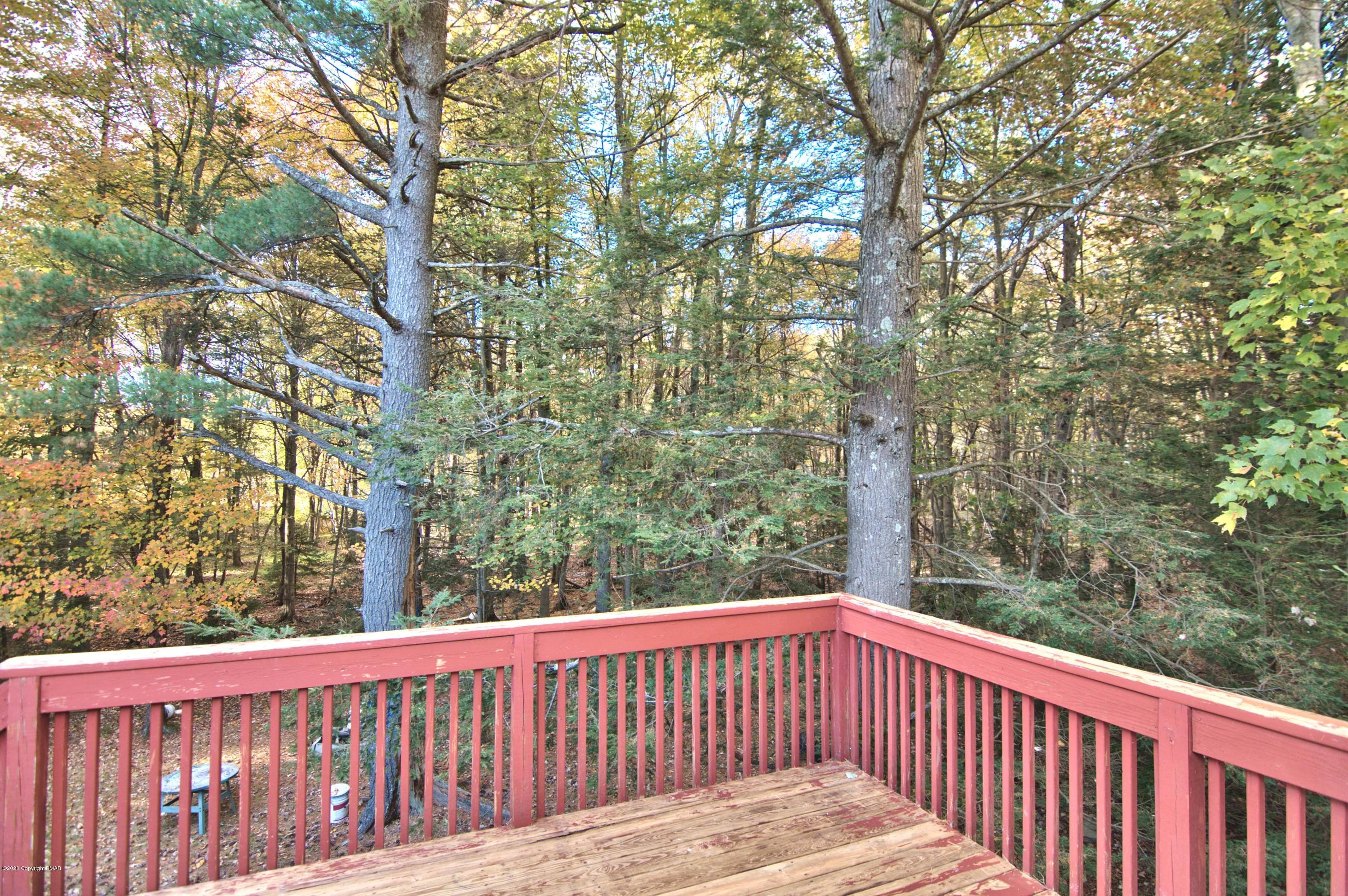3167 Wilderness Road Pocono Summit, PA 18346 - Photo 46 of 53 Photo- (42)