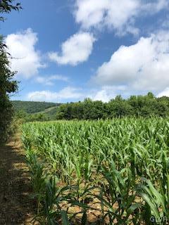West Mountain Road Wind Gap, PA 18091 - Photo 1 of 11 Gallery Image 1