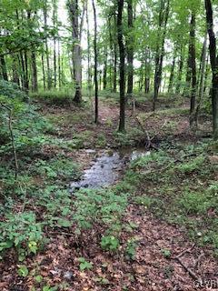 West Mountain Road Wind Gap, PA 18091 - Photo 11 of 11 Gallery Image 11