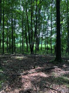 West Mountain Road Wind Gap, PA 18091 - Photo 6 of 11 Gallery Image 6