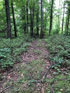 West Mountain Road Wind Gap, PA 18091 - Photo 10 of 11 Gallery Image 10