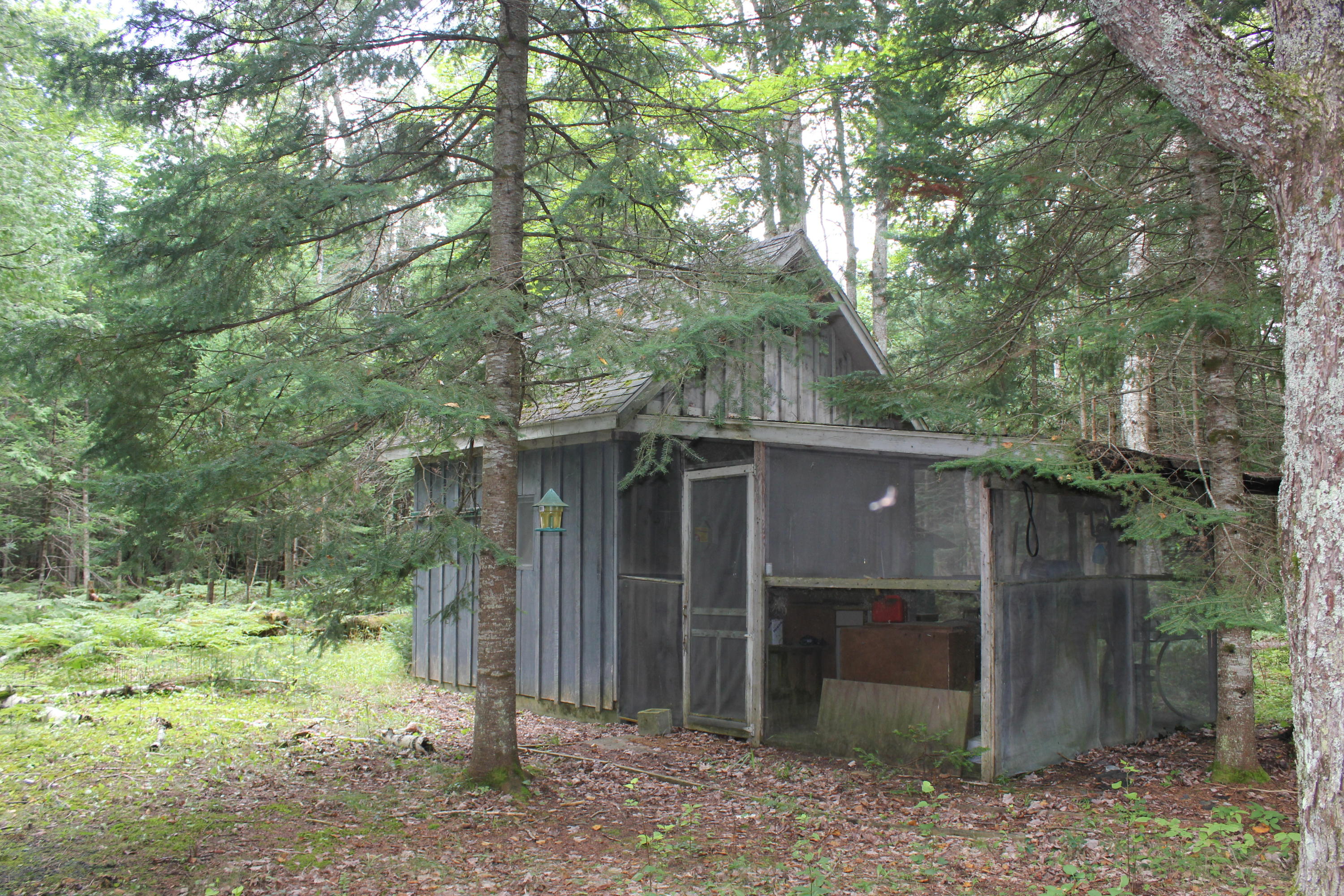 Snoopy Lane Frederic, MI 49733 - Photo 19 of 28 Gallery Image 19