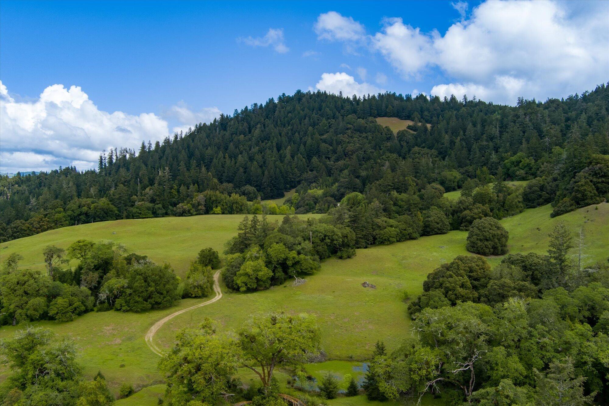 0 Reed Mountain Road Garberville, CA 95542 - Photo 7 of 19