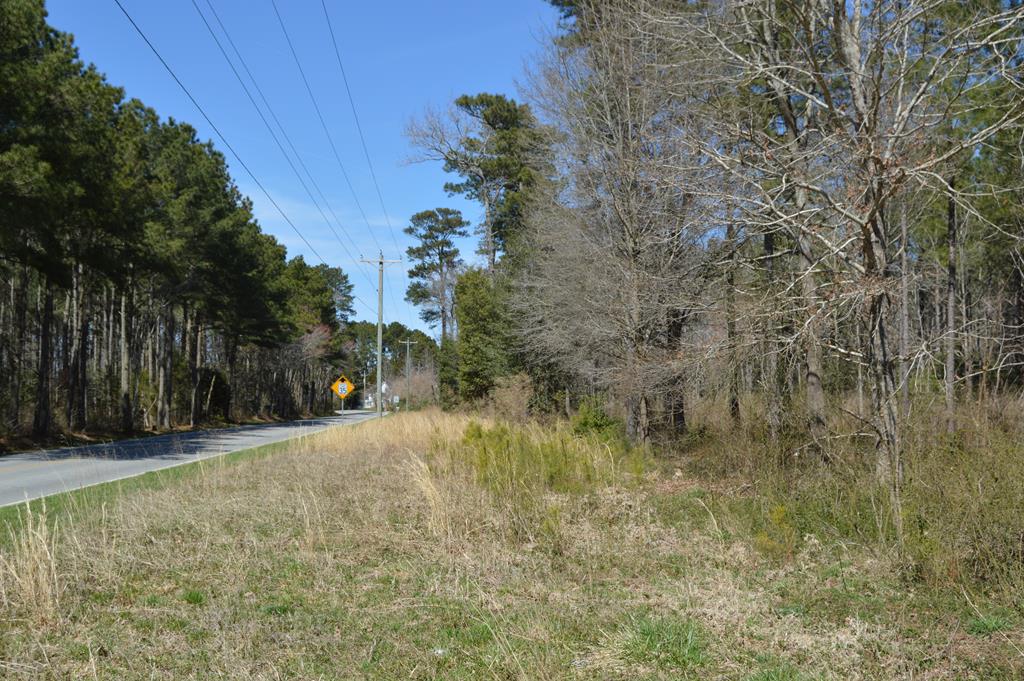 0 Drummondtown Road Accomac, VA 23301 - Photo 2 of 50