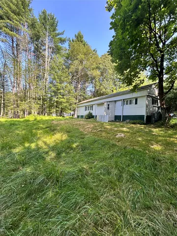 a view of a field with a tree