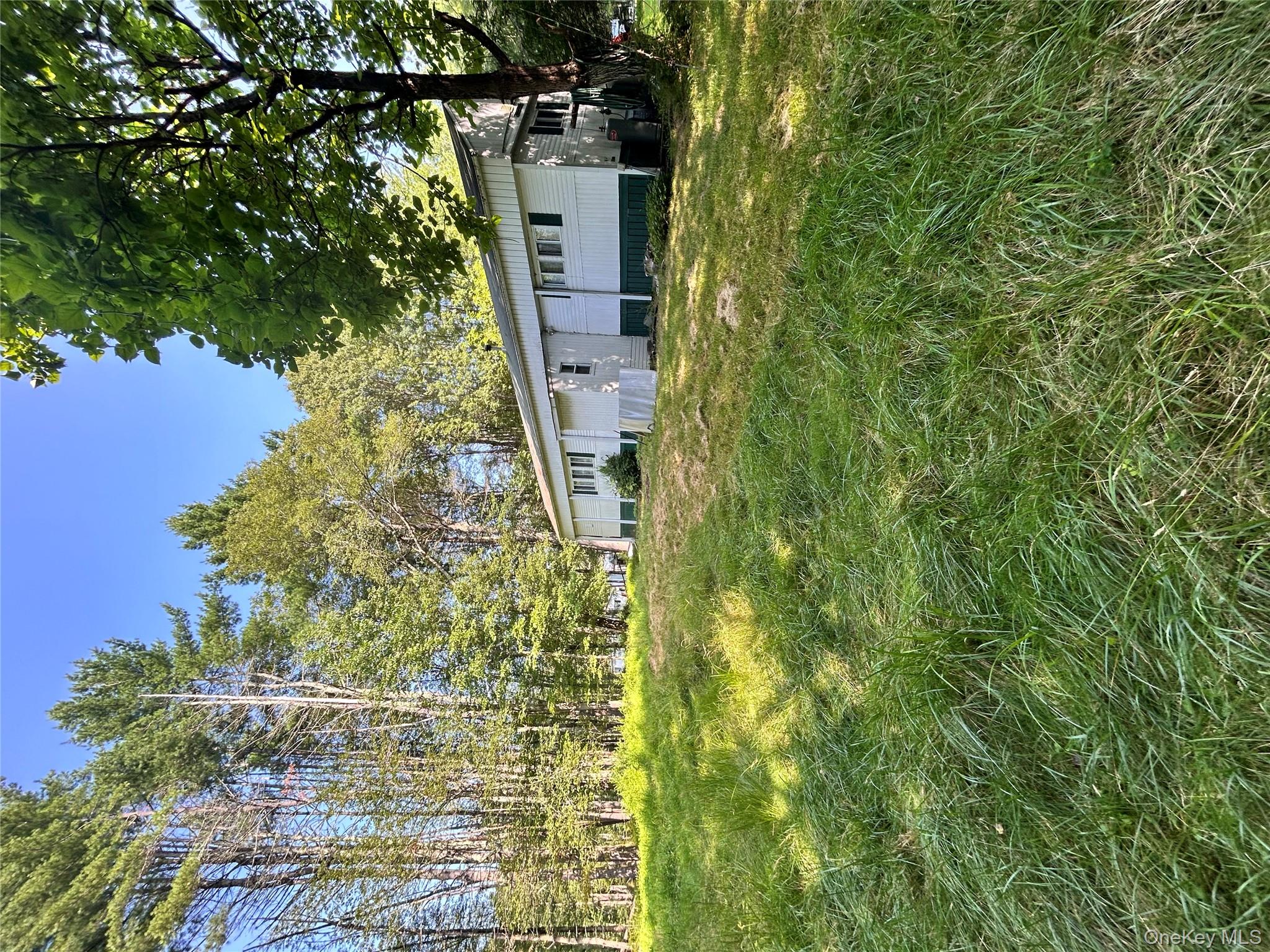 98 Buff Road Cochecton, NY 12726 - Photo 12 of 13 a view of a house with a big yard and large trees