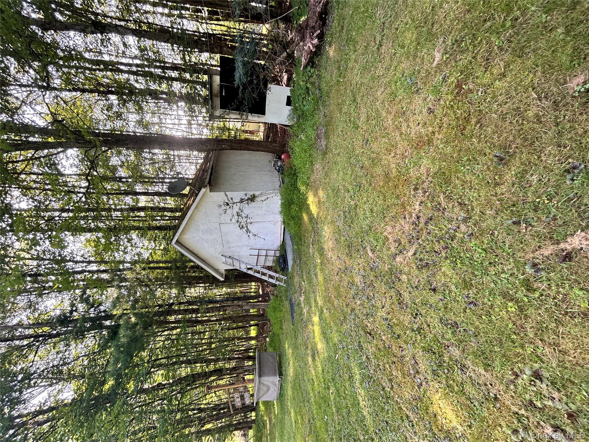 98 Buff Road Cochecton, NY 12726 - Photo 10 of 13 a backyard of a house with lots of green space and fountain