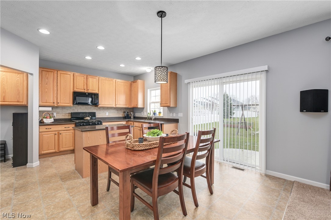 37494 Sandy Ridge Drive North Ridgeville, OH 44039 - Photo 9 of 27 Gallery Image 9