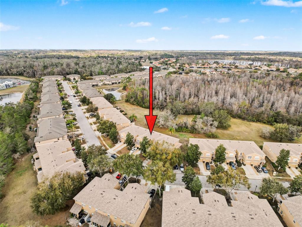 11807 Castine Street New Port Richey, FL 34654 - Photo 26 of 41 a view of a city