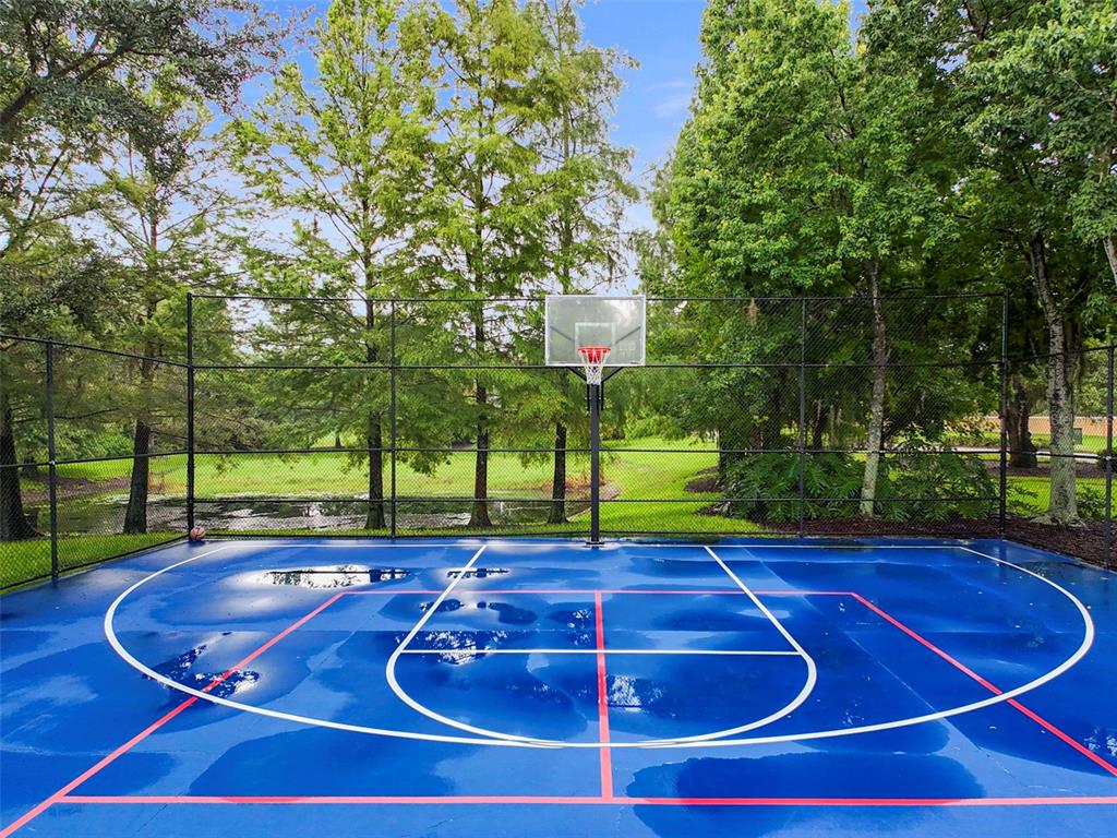 11807 Castine Street New Port Richey, FL 34654 - Photo 35 of 41 a view of a tennis court