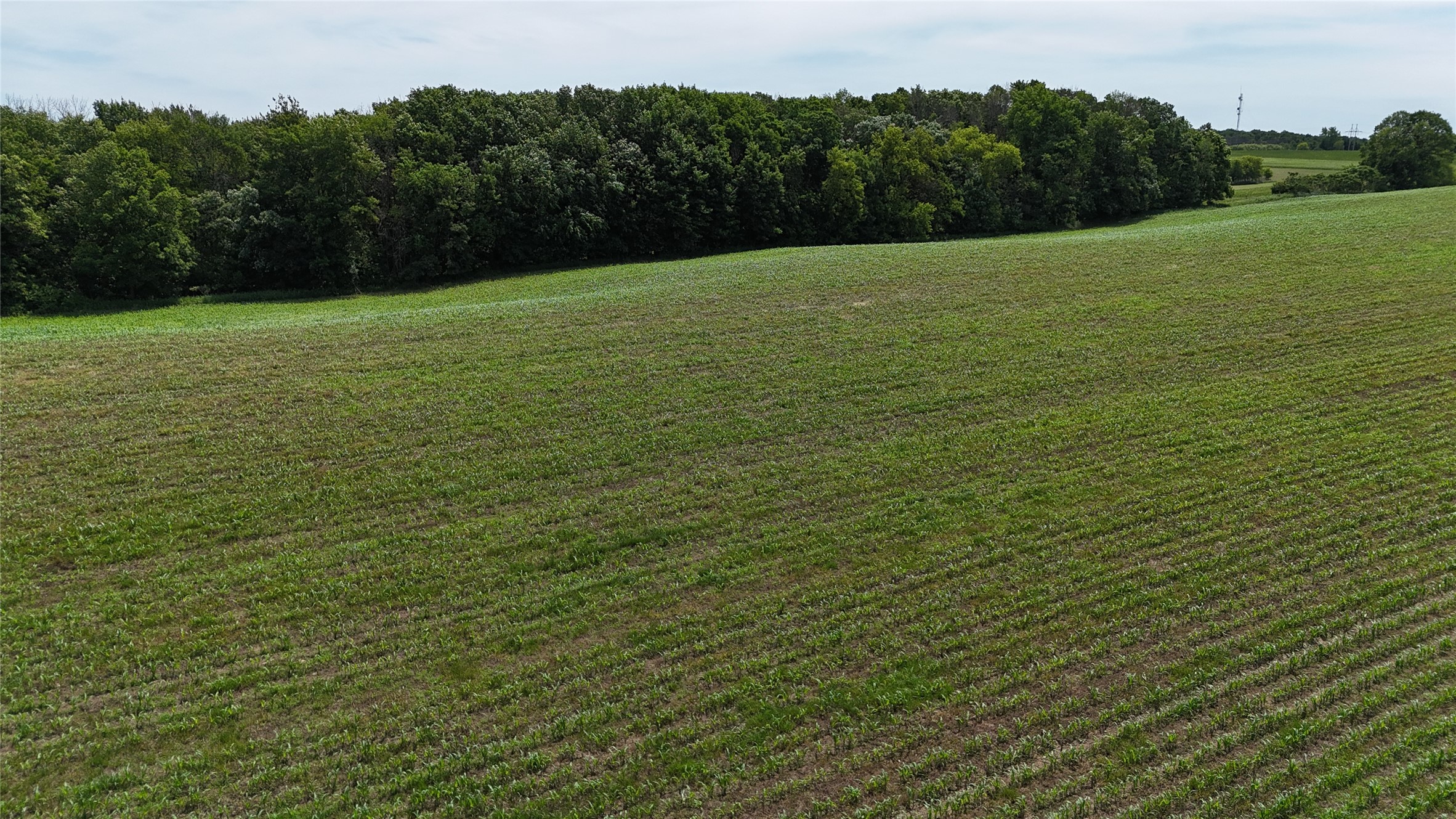 Tbd 230th Street Baldwin, WI 54002 - Photo 44 of 53