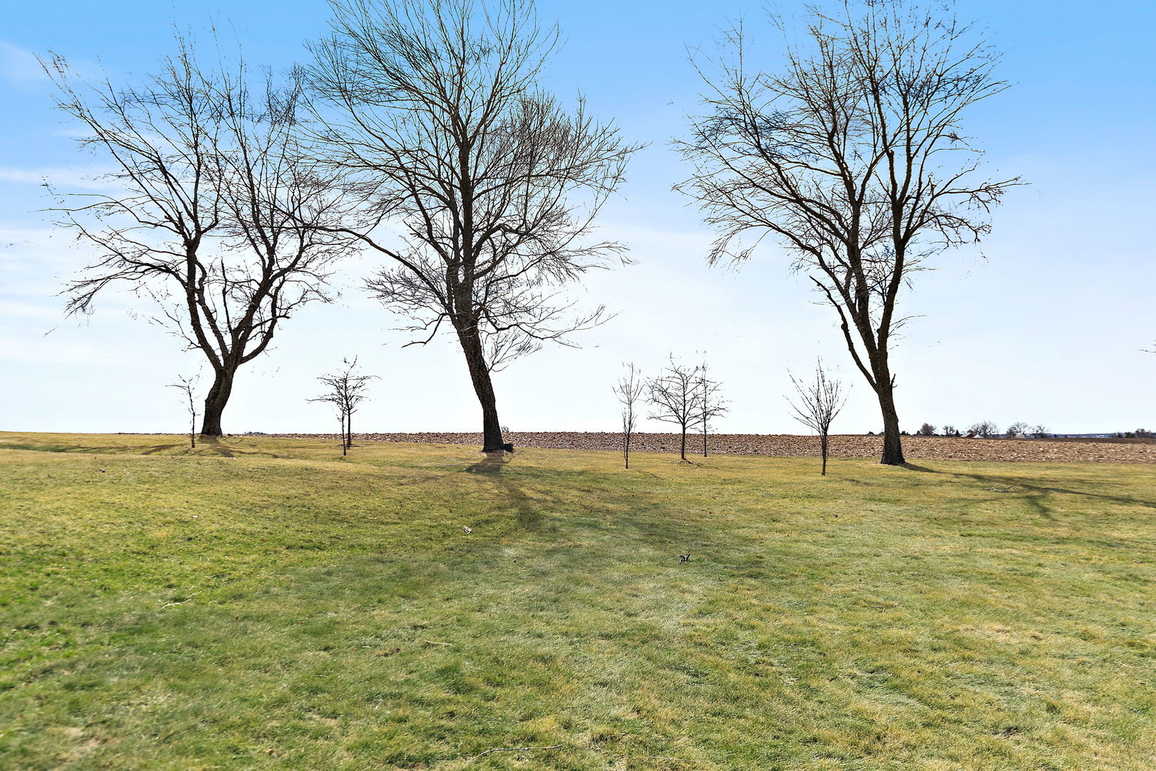 17423 Cobblestone Bend Marengo, IL 60152 - Photo 39 of 42