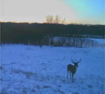 $750,000 | 17423 Cobblestone Bend, Marengo, IL 60152