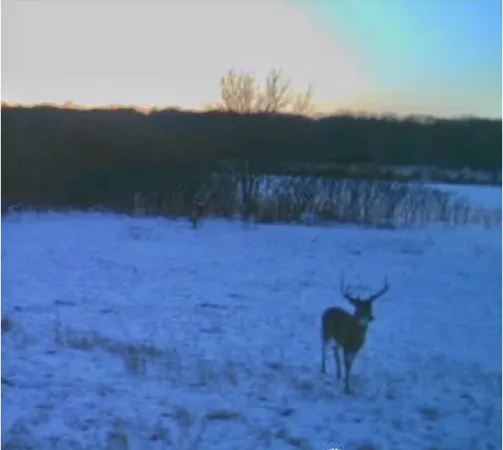 $750,000 | 17423 Cobblestone Bend, Marengo, IL 60152